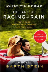 Cuộc Đời Phi Thường Của Chú Chó Enzo - The Art of Racing in the Rain