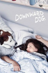 Góc Nhìn Của Chó - Downward Dog