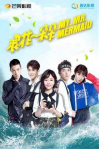 Từng Đóa Bọt Sóng - My Mr. Mermaid