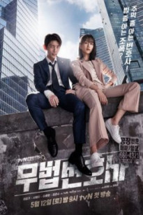 Luật Sư Vô Pháp - Lawless lawyer