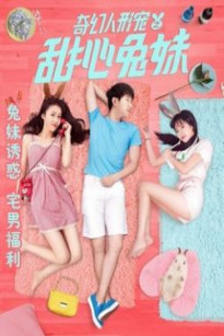 Sáu Nàng Thỏ Xinh Đẹp - Sweet Bunny Girls of Petman (2017)