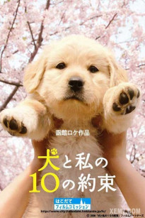 10 LỜI HỨA VỚI CHÚ CHÓ CỦA TÔI - 10 Promises To My Dog (2008)