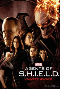 ĐẶC VỤ SHIELD (PHẦN 4) - Marvel's Agents Of S.H.I.E.L.D (Season 4) (2016)