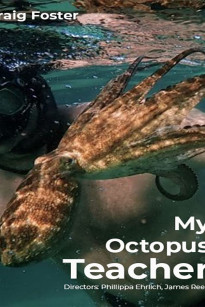 Cô Giáo Bạch Tuộc - My Octopus Teacher