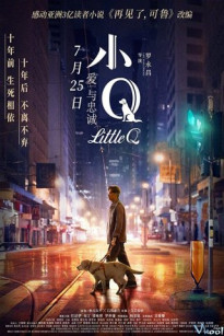 TIỂU Q - Little Q (2019)