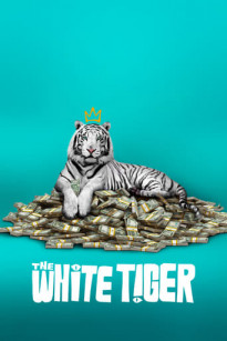Cọp trắng (2021) - The White Tiger