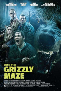 TRONG MÊ CUNG GẤU XÁM - Into the Grizzly Maze