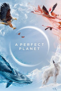 HÀNH TINH TUYỆT VỜI - A Perfect Planet