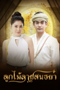 Tấm Ren Thêu Lúc Chạng Vạng - Lookmai Lai Sontaya (2018)