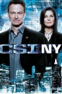 ĐỘI ĐIỀU TRA HIỆN TRƯỜNG PHẦN 1 - Csi : New York Season 1 (2004)